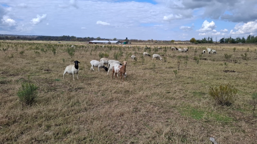 Commercial Property for Sale in Potchefstroom Rural North West